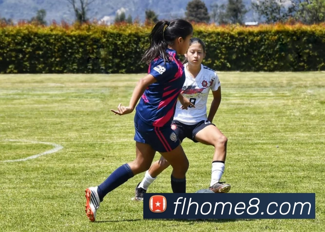 富丽新城官网服务体系